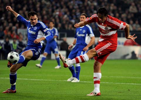 组织可以为 组织可以为